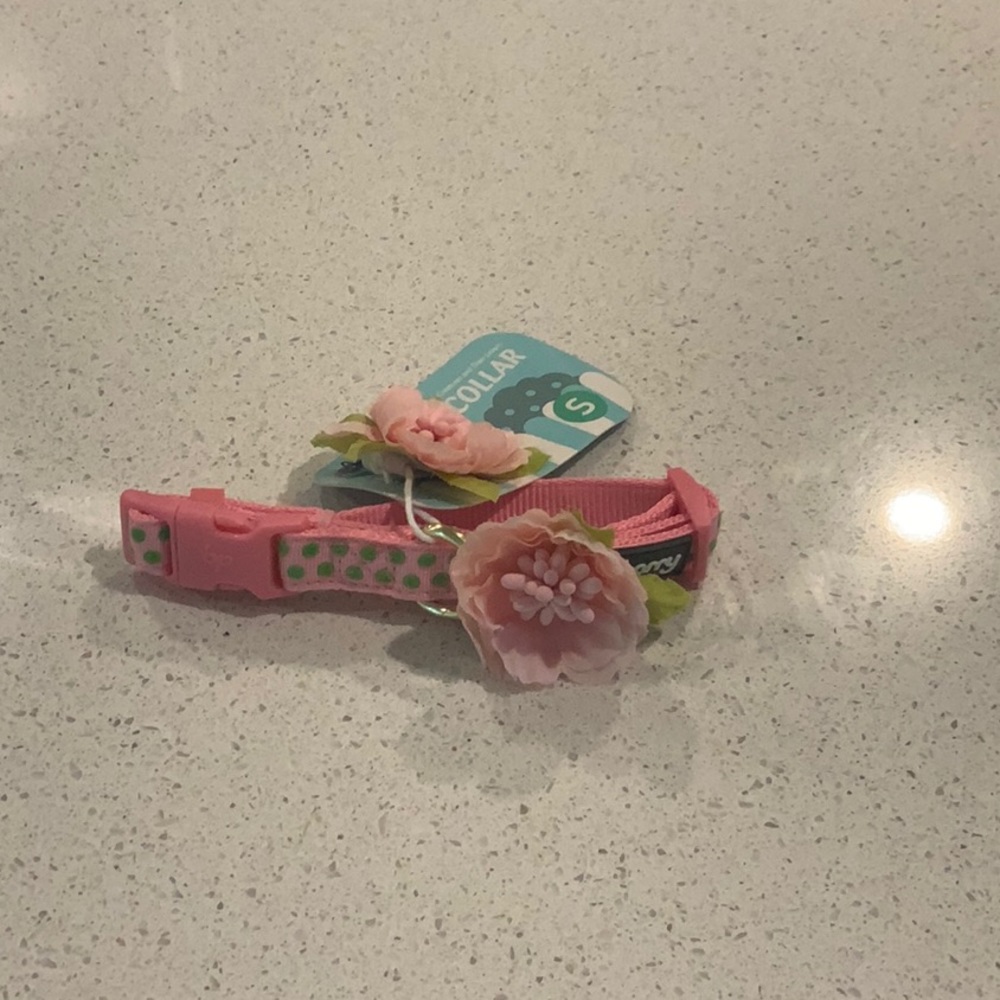 NWT blue berry dog collar